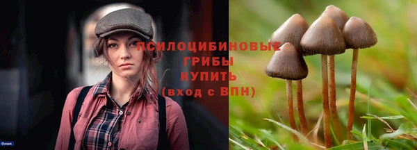 эйфоретик Абаза