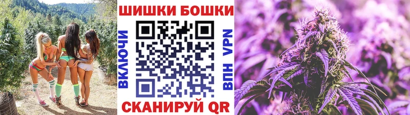 купить MEGA сайт Бошки Шишки сатива Правдинск